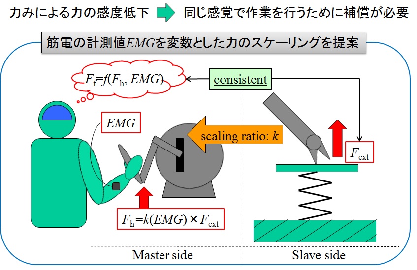 Variable-scale force feedback using EMG