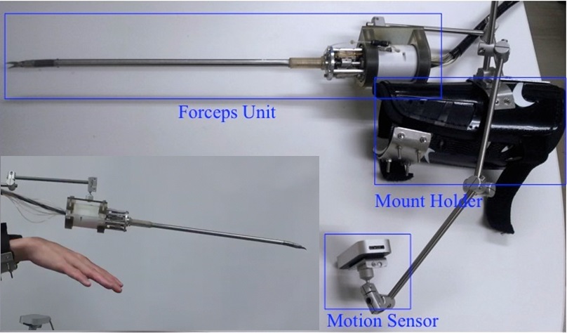 Hand forceps.jpg