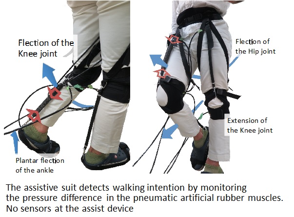 Exoskeleton mechanism