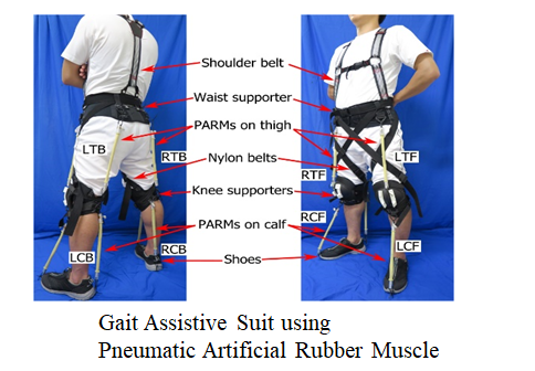 Walking assistive device